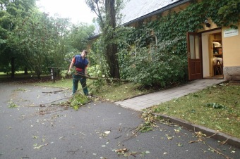 Škody v Arboretu Žampach po noční bouři dne 8.7.2015