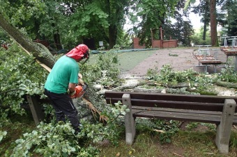 Škody v Arboretu Žampach po noční bouři dne 8.7.2015