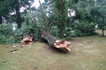 Škody v Arboretu Žampach po noční bouři dne 8.7.2015