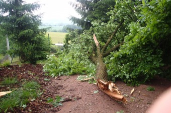 Škody v Arboretu Žampach po noční bouři dne 8.7.2015