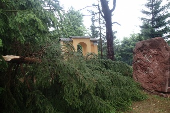 Škody v Arboretu Žampach po noční bouři dne 8.7.2015
