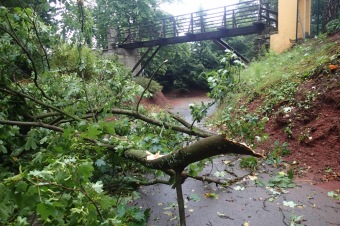 Škody v Arboretu Žampach po noční bouři dne 8.7.2015