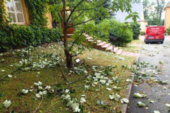 Škody v Arboretu Žampach po noční bouři dne 8.7.2015