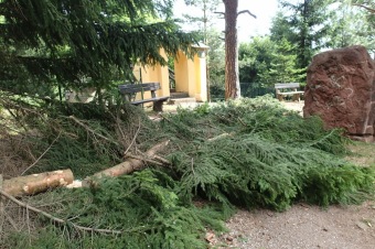 Škody a jejich likvidace v Arboretu Žampach po noční bouři dne 8.7.2015