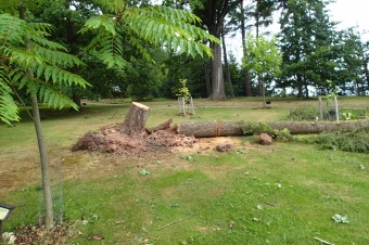 Škody a jejich likvidace v Arboretu Žampach po noční bouři dne 8.7.2015
