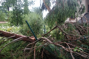 Škody v Arboretu Žampach po noční bouři dne 8.7.2015