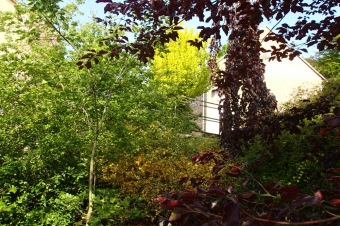 Arboretum Žampach - fotografie na začátku sezony - 22.5. 2015