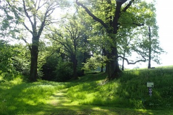 Arboretum Žampach - fotografie na začátku sezony - 22.5. 2015