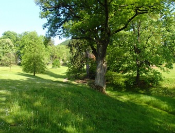 Arboretum Žampach - fotografie na začátku sezony - 22.5. 2015