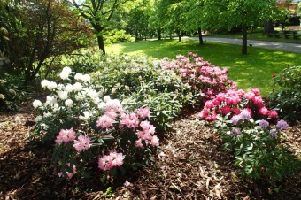 Arboretum Žampach - fotografie na začátku sezony - 22.5. 2015