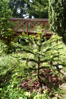 Arboretum Žampach - fotografie na začátku sezony - 22.5. 2015