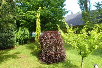 Arboretum Žampach - fotografie na začátku sezony - 22.5. 2015