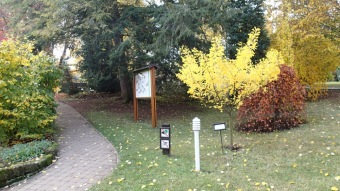 27.10. 2016 Podzim v Arboretu Žampach