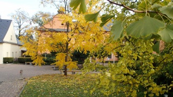 27.10. 2016 Podzim v Arboretu Žampach