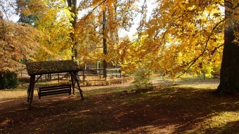27.10. 2016 Podzim v Arboretu Žampach
