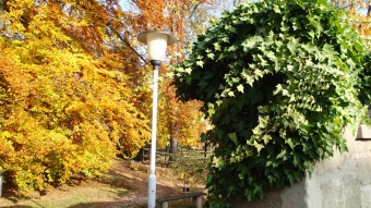 27.10. 2016 Podzim v Arboretu Žampach