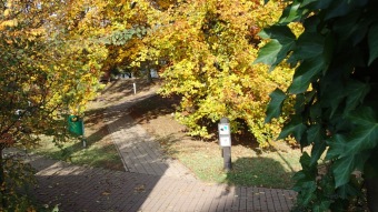 27.10. 2016 Podzim v Arboretu Žampach