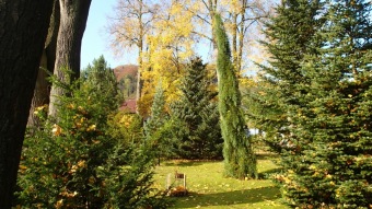 27.10. 2016 Podzim v Arboretu Žampach