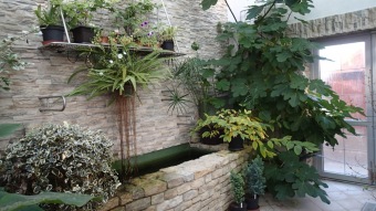 27.10. 2016 Podzim v Arboretu Žampach