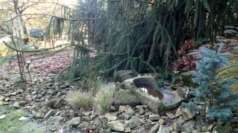 27.10. 2016 Podzim v Arboretu Žampach