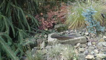 27.10. 2016 Podzim v Arboretu Žampach