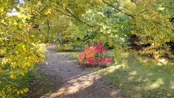 27.10. 2016 Podzim v Arboretu Žampach