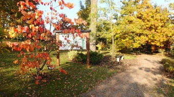 27.10. 2016 Podzim v Arboretu Žampach