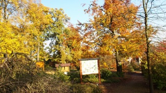 27.10. 2016 Podzim v Arboretu Žampach