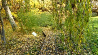 27.10. 2016 Podzim v Arboretu Žampach