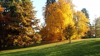 27.10. 2016 Podzim v Arboretu Žampach