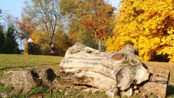 27.10. 2016 Podzim v Arboretu Žampach