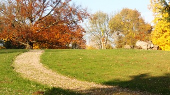 27.10. 2016 Podzim v Arboretu Žampach