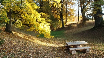 27.10. 2016 Podzim v Arboretu Žampach