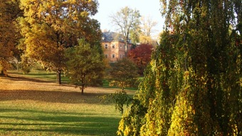 27.10. 2016 Podzim v Arboretu Žampach