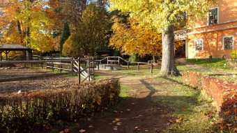 27.10. 2016 Podzim v Arboretu Žampach