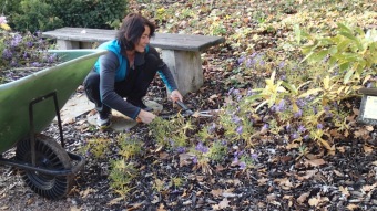 27.10. 2016 Podzim v Arboretu Žampach