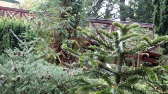 2016 Arboretum Žampach - konec léta (16.9.)