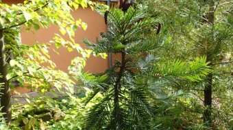 2016 Arboretum Žampach - konec léta (16.9.)