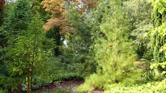 2016 Arboretum Žampach - konec léta (16.9.)