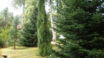 2016 Arboretum Žampach - konec léta (16.9.)