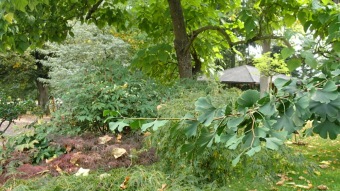 2016 Arboretum Žampach - konec léta (16.9.)