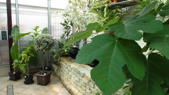 2016 Arboretum Žampach - konec léta (16.9.)