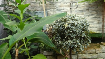 2016 Arboretum Žampach - konec léta (16.9.)