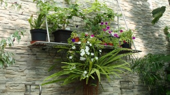 2016 Arboretum Žampach - konec léta (16.9.)