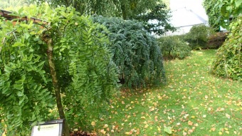 2016 Arboretum Žampach - konec léta (16.9.)