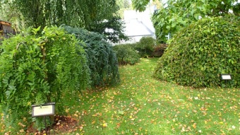 2016 Arboretum Žampach - konec léta (16.9.)