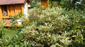 2016 Arboretum Žampach - konec léta (16.9.)