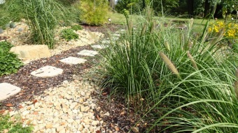 2016 Arboretum Žampach - konec léta (16.9.)