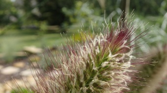 2016 Arboretum Žampach - konec léta (16.9.)