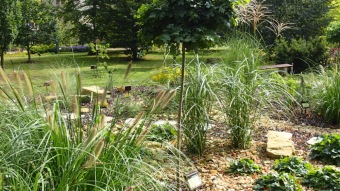 2016 Arboretum Žampach - konec léta (16.9.)